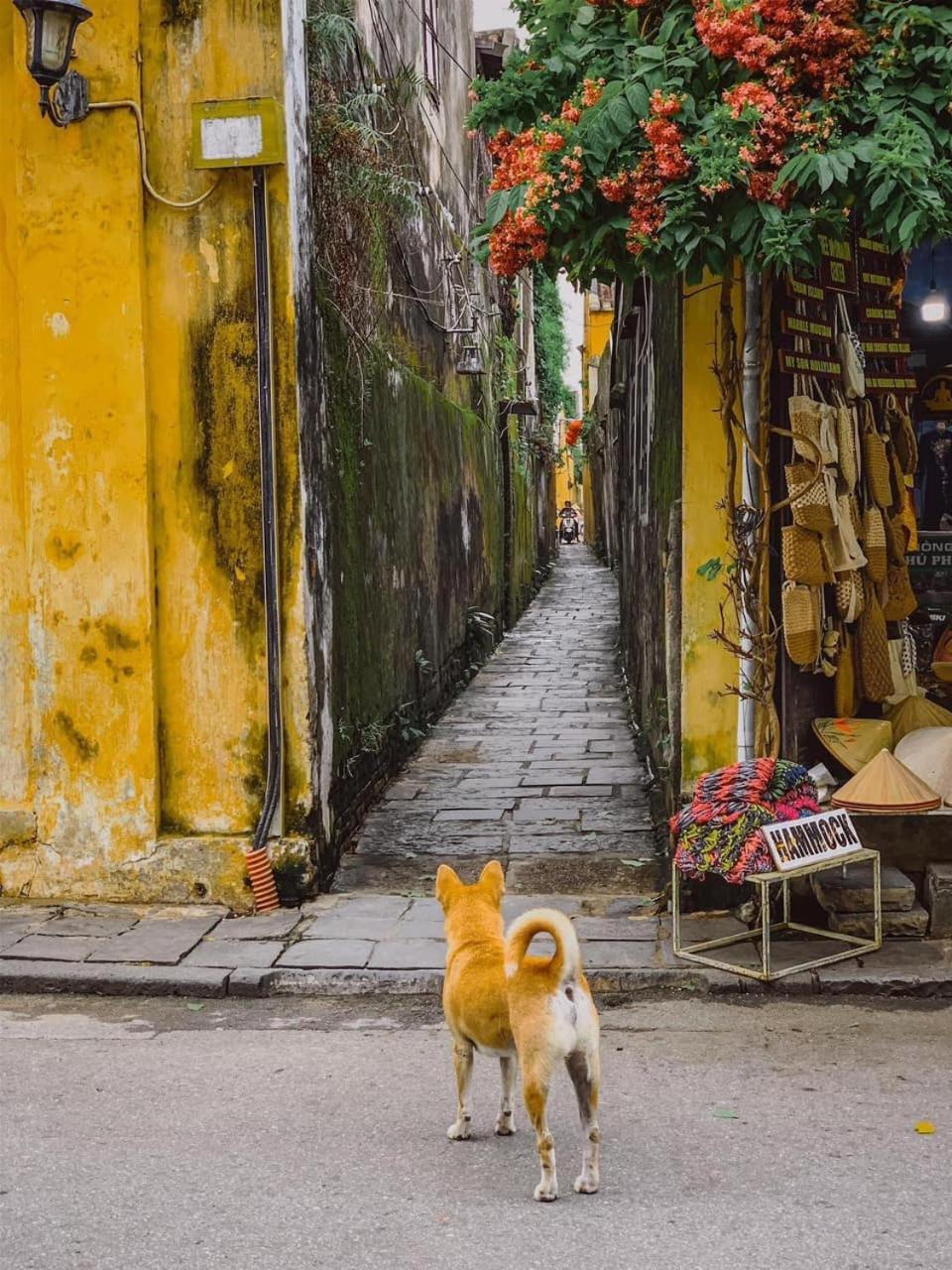 La Gai Homestay Hội An Buitenkant foto