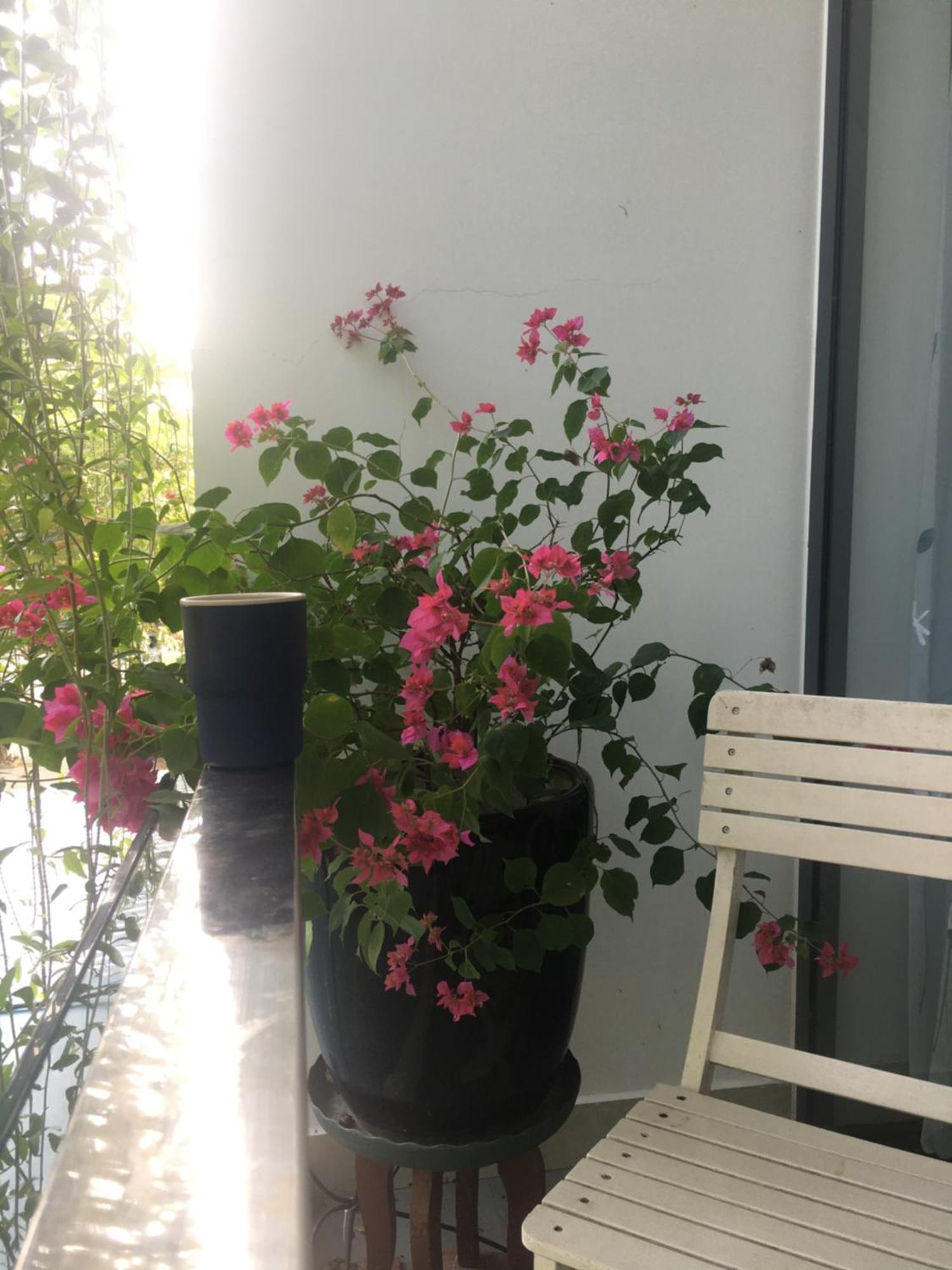 La Gai Homestay Hội An Buitenkant foto